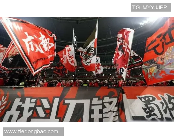 成都足球队的拼搏之路与杯赛荣耀背后的故事